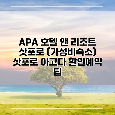 APA 호텔 앤 리조트 삿포로 (가성비숙소) 삿포로 아고다 할인예약 팁