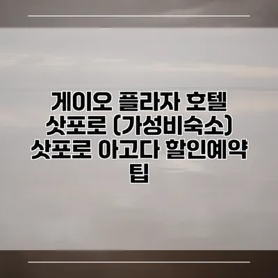 게이오 플라자 호텔 삿포로 (가성비숙소) 삿포로 아고다 할인예약 팁