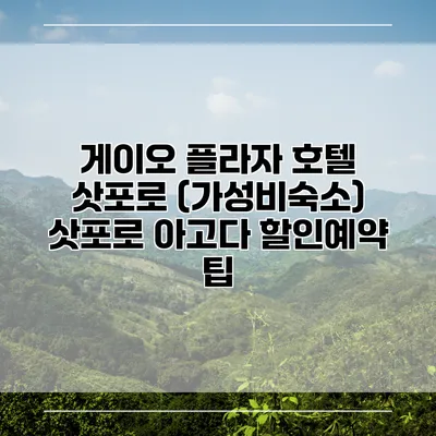 게이오 플라자 호텔 삿포로 (가성비숙소) 삿포로 아고다 할인예약 팁