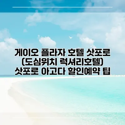 게이오 플라자 호텔 삿포로 (도심위치 럭셔리호텔) 삿포로 아고다 할인예약 팁