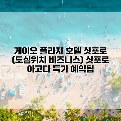 게이오 플라자 호텔 삿포로 (도심위치 비즈니스) 삿포로 아고다 특가 예약팁