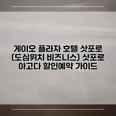 게이오 플라자 호텔 삿포로 (도심위치 비즈니스) 삿포로 아고다 할인예약 가이드