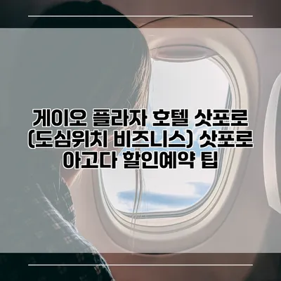 게이오 플라자 호텔 삿포로 (도심위치 비즈니스) 삿포로 아고다 할인예약 팁