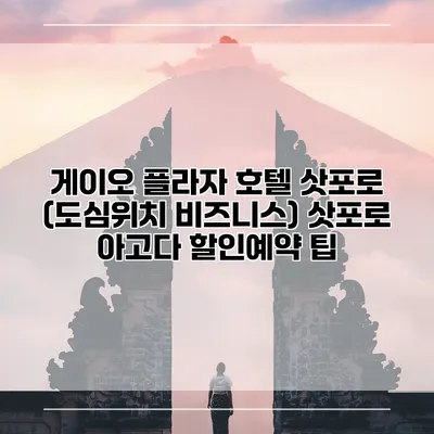 게이오 플라자 호텔 삿포로 (도심위치 비즈니스) 삿포로 아고다 할인예약 팁