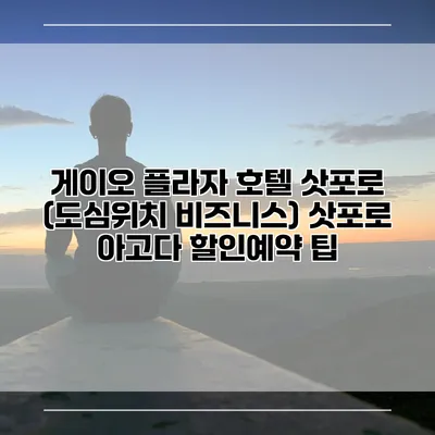 게이오 플라자 호텔 삿포로 (도심위치 비즈니스) 삿포로 아고다 할인예약 팁