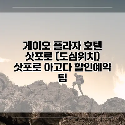 게이오 플라자 호텔 삿포로 (도심위치) 삿포로 아고다 할인예약 팁