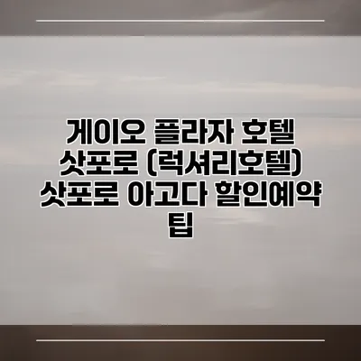 게이오 플라자 호텔 삿포로 (럭셔리호텔) 삿포로 아고다 할인예약 팁