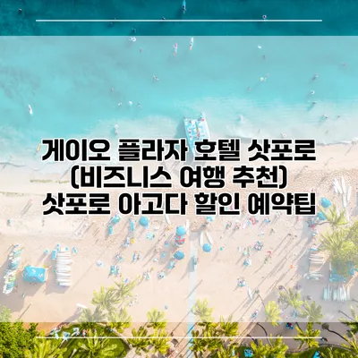 게이오 플라자 호텔 삿포로 (비즈니스 여행 추천) 삿포로 아고다 할인 예약팁