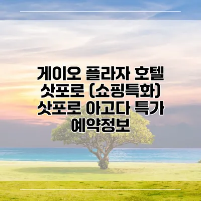 게이오 플라자 호텔 삿포로 (쇼핑특화) 삿포로 아고다 특가 예약정보