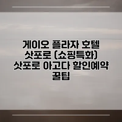 게이오 플라자 호텔 삿포로 (쇼핑특화) 삿포로 아고다 할인예약 꿀팁