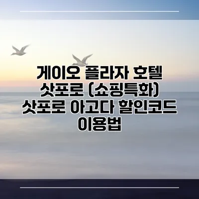 게이오 플라자 호텔 삿포로 (쇼핑특화) 삿포로 아고다 할인코드 이용법