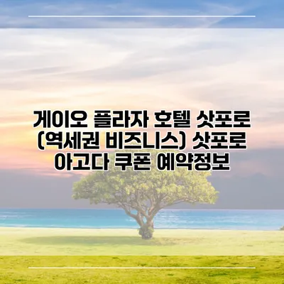 게이오 플라자 호텔 삿포로 (역세권 비즈니스) 삿포로 아고다 쿠폰 예약정보