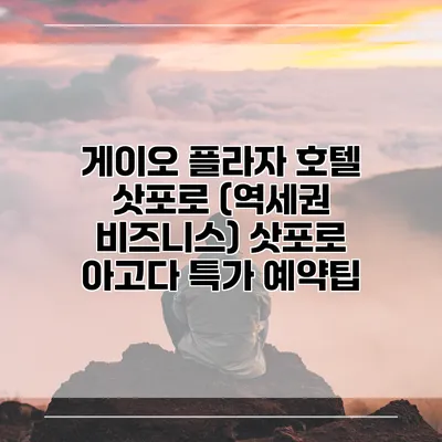 게이오 플라자 호텔 삿포로 (역세권 비즈니스) 삿포로 아고다 특가 예약팁