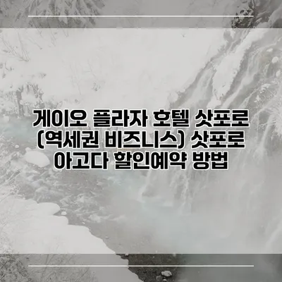 게이오 플라자 호텔 삿포로 (역세권 비즈니스) 삿포로 아고다 할인예약 방법