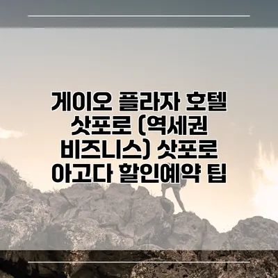 게이오 플라자 호텔 삿포로 (역세권 비즈니스) 삿포로 아고다 할인예약 팁