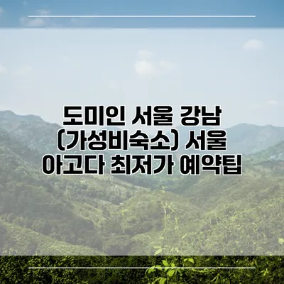 도미인 서울 강남 (가성비숙소) 서울 아고다 최저가 예약팁