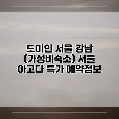 도미인 서울 강남 (가성비숙소) 서울 아고다 특가 예약정보