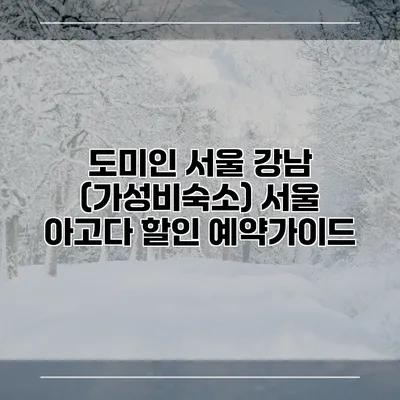 도미인 서울 강남 (가성비숙소) 서울 아고다 할인 예약가이드