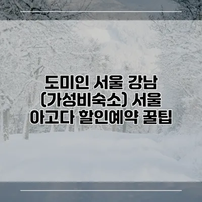 도미인 서울 강남 (가성비숙소) 서울 아고다 할인예약 꿀팁
