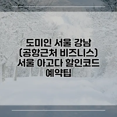 도미인 서울 강남 (공항근처 비즈니스) 서울 아고다 할인코드 예약팁