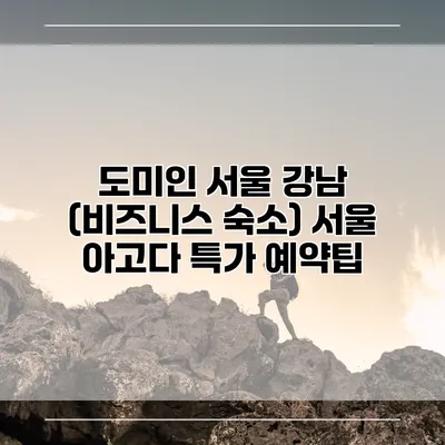 도미인 서울 강남 (비즈니스 숙소) 서울 아고다 특가 예약팁