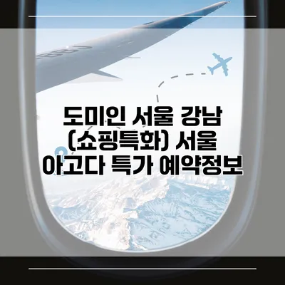 도미인 서울 강남 (쇼핑특화) 서울 아고다 특가 예약정보