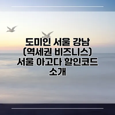 도미인 서울 강남 (역세권 비즈니스) 서울 아고다 할인코드 소개