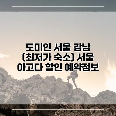 도미인 서울 강남 (최저가 숙소) 서울 아고다 할인 예약정보