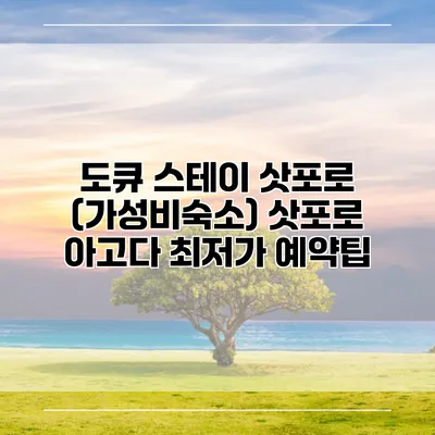 도큐 스테이 삿포로 (가성비숙소) 삿포로 아고다 최저가 예약팁