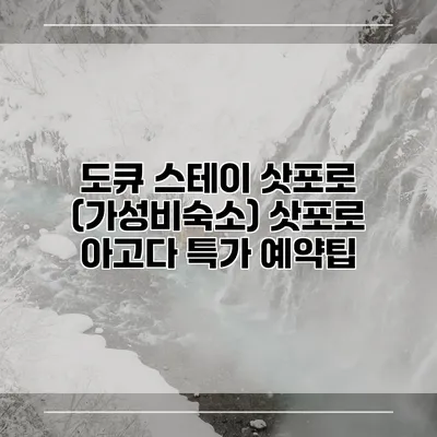 도큐 스테이 삿포로 (가성비숙소) 삿포로 아고다 특가 예약팁