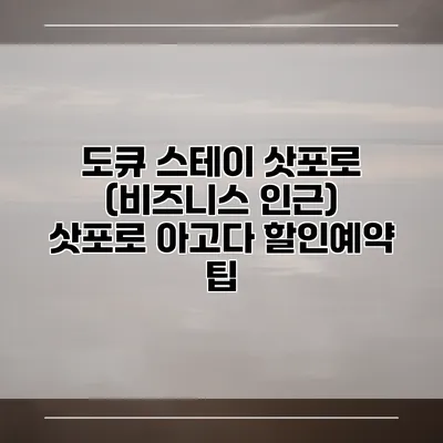 도큐 스테이 삿포로 (비즈니스 인근) 삿포로 아고다 할인예약 팁