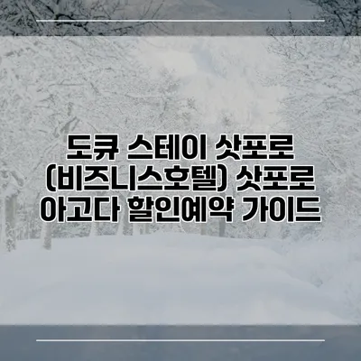 도큐 스테이 삿포로 (비즈니스호텔) 삿포로 아고다 할인예약 가이드