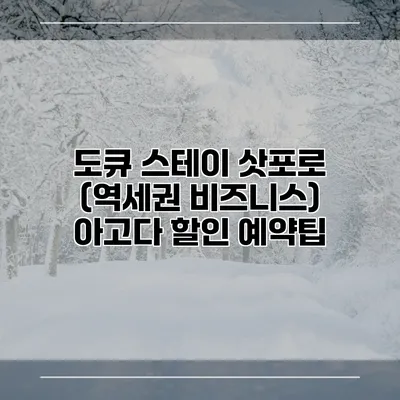 도큐 스테이 삿포로 (역세권 비즈니스) 아고다 할인 예약팁