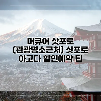 머큐어 삿포로 (관광명소근처) 삿포로 아고다 할인예약 팁