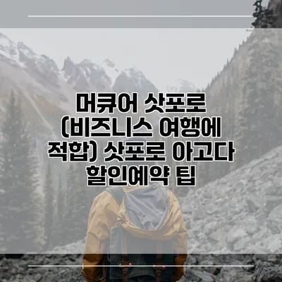 머큐어 삿포로 (비즈니스 여행에 적합) 삿포로 아고다 할인예약 팁