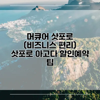 머큐어 삿포로 (비즈니스 편리) 삿포로 아고다 할인예약 팁