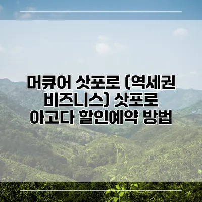 머큐어 삿포로 (역세권 비즈니스) 삿포로 아고다 할인예약 방법