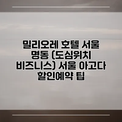 밀리오레 호텔 서울 명동 (도심위치 비즈니스) 서울 아고다 할인예약 팁