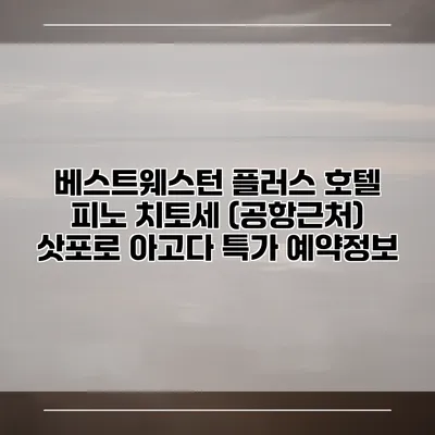 베스트웨스턴 플러스 호텔 피노 치토세 (공항근처) 삿포로 아고다 특가 예약정보