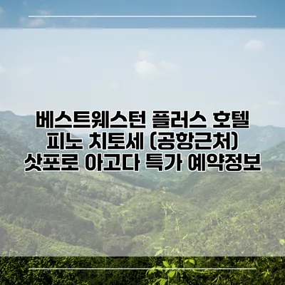베스트웨스턴 플러스 호텔 피노 치토세 (공항근처) 삿포로 아고다 특가 예약정보