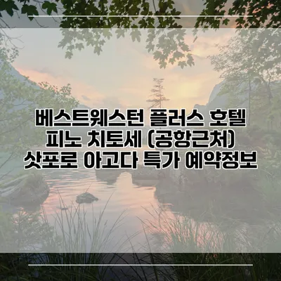베스트웨스턴 플러스 호텔 피노 치토세 (공항근처) 삿포로 아고다 특가 예약정보
