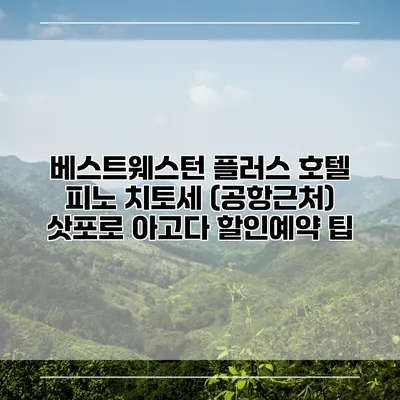 베스트웨스턴 플러스 호텔 피노 치토세 (공항근처) 삿포로 아고다 할인예약 팁