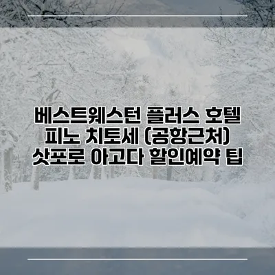 베스트웨스턴 플러스 호텔 피노 치토세 (공항근처) 삿포로 아고다 할인예약 팁