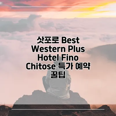 삿포로 Best Western Plus Hotel Fino Chitose 특가 예약 꿀팁