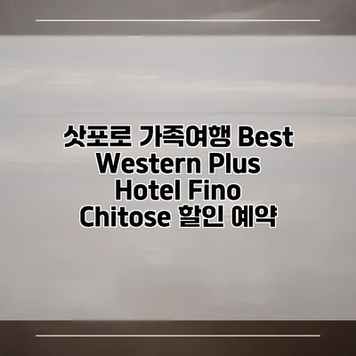 삿포로 가족여행 Best Western Plus Hotel Fino Chitose 할인 예약