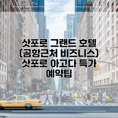 삿포로 그랜드 호텔 (공항근처 비즈니스) 삿포로 아고다 특가 예약팁