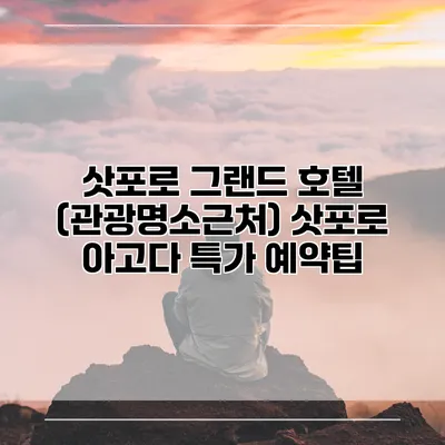 삿포로 그랜드 호텔 (관광명소근처) 삿포로 아고다 특가 예약팁