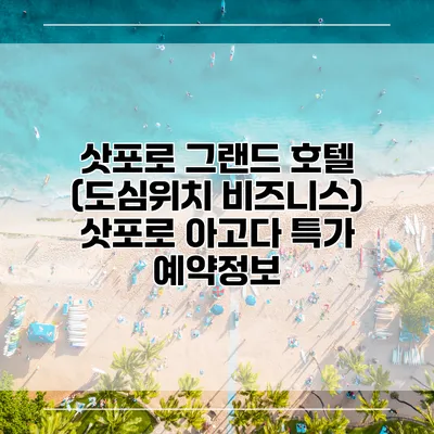 삿포로 그랜드 호텔 (도심위치 비즈니스) 삿포로 아고다 특가 예약정보