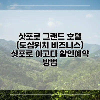 삿포로 그랜드 호텔 (도심위치 비즈니스) 삿포로 아고다 할인예약 방법