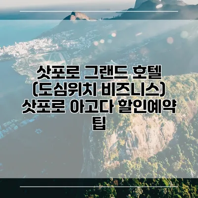 삿포로 그랜드 호텔 (도심위치 비즈니스) 삿포로 아고다 할인예약 팁